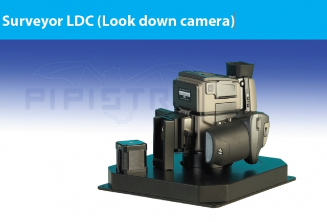 Surveyor Surveyor